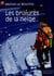 Les brulures de la neige - - roman, senior des 11/12ans