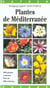 Plantes de Méditerranée