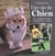 Une vie de chien - les compagnons fidèles des grands de ce monde