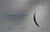 La meduse de la lune / the jellifish and the moon