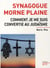 Synagogue Morne Plaine