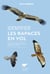 Identifier les rapaces en vol - Europe, Afrique du Nord et Moyen-Orient