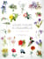 Jolies fleurs à l'aquarelle - en 5 étapes simples