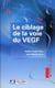 Le ciblage de la voie du VEGF