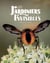 Les jardiniers invisibles
