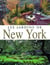 Les jardins de new-york