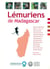 Lémuriens de Madagascar