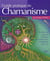Guide pratique de chamanisme - accéder au pouvoir magique de la terre pour transformer votre vie