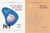 La conception de système spatiaux t.1 et t.2 - système, paysage, mouvements - élans de conception