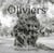 Oliviers - Jacques Berthet