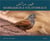 Marrakech à vol d'oiseaux