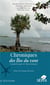 Chroniques des îles du vent -  Guadeloupe et Martinique