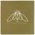 Cicada Rhythm