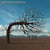 Opposites - CD