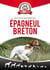 Tout ce qu'il faut savoir sur l'épagneul breton