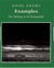 Ansel adams examples the making of 40 photographs (paperback)