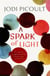 A spark of light*