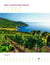 Sur la route des vins de corse
