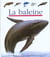 La baleine