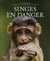 Singes en danger