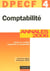 Dpecf 4 - comptabilite, annales 2006 (8e edition) (8e edition)