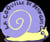 La coquille de petit-gris