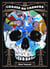 Chasse au cadavre Tome 1