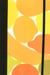 Citron