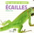 Mais quel est cet animal ? - écailles