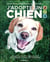 J'adopte un chien