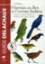 Oiseaux des îles de l'océan Indien - Madagascar, Maurice, Réunion, Rodrigues, Seychelles, Comores