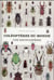 Coléoptères du monde - une encyclopédie