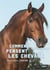 COMMENT PENSENT LES CHEVAUX
