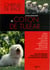 Le coton de tuléar