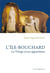 L'Île-Bouchard - La Vierge et ses apparitions