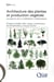Architecture des plantes et production végétale - les apports de la modélisation mathématique