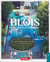 Blois : histoire et patrimoine