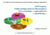 AFM Express. Guide pratique pour la Microscopie à Force Atomique - exploration du « nanoMonde »