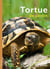 La tortue de jardin