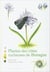 Plantes des côtes rocheuses de Bretagne