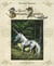 Le grand bestiaire des légendes