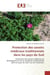 Protection des savoirs medicaux traditionnels dans les pays du Sud : Protection des savoirs medicaux et developpement de la medecine traditionnelle dans les pays du Sud