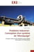 Probleme industriel : conception d'un systeme de "devraquage" - compte rendu de fin d'etude licence