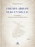 Chemin abrupt vers un déclic Tome 1 : Le soufisme, Stephen Jourdain et Michel Henry
