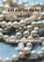 Les perles de la vérité
