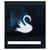 Among My Swan