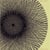 Le syndrome de l'univers