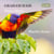 Musique pour piano