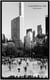 Jeff Liao - Central Park New York
