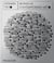 Vitamin TXT : Words in contemporary art